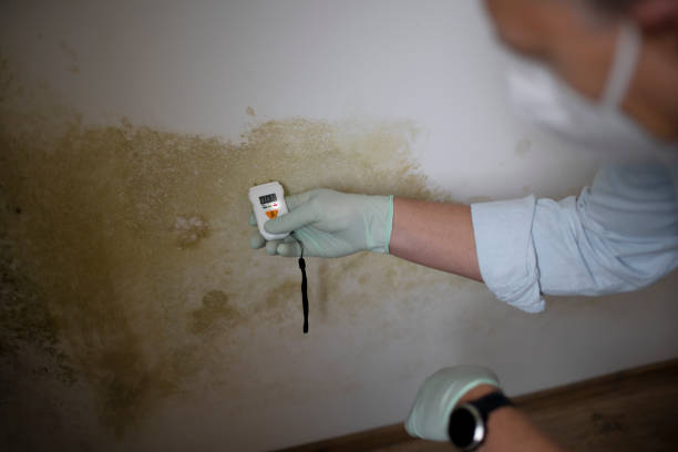 Best Mold Testing  in Peralta, NM