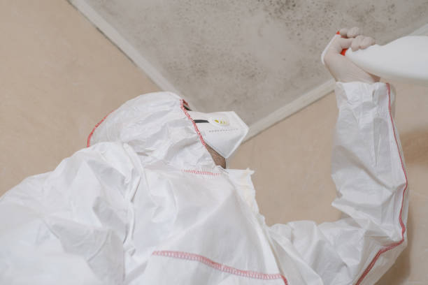 Best Black Mold Removal  in Peralta, NM