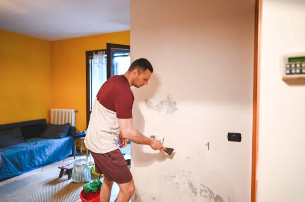 Best Same-Day Mold Removal  in Peralta, NM